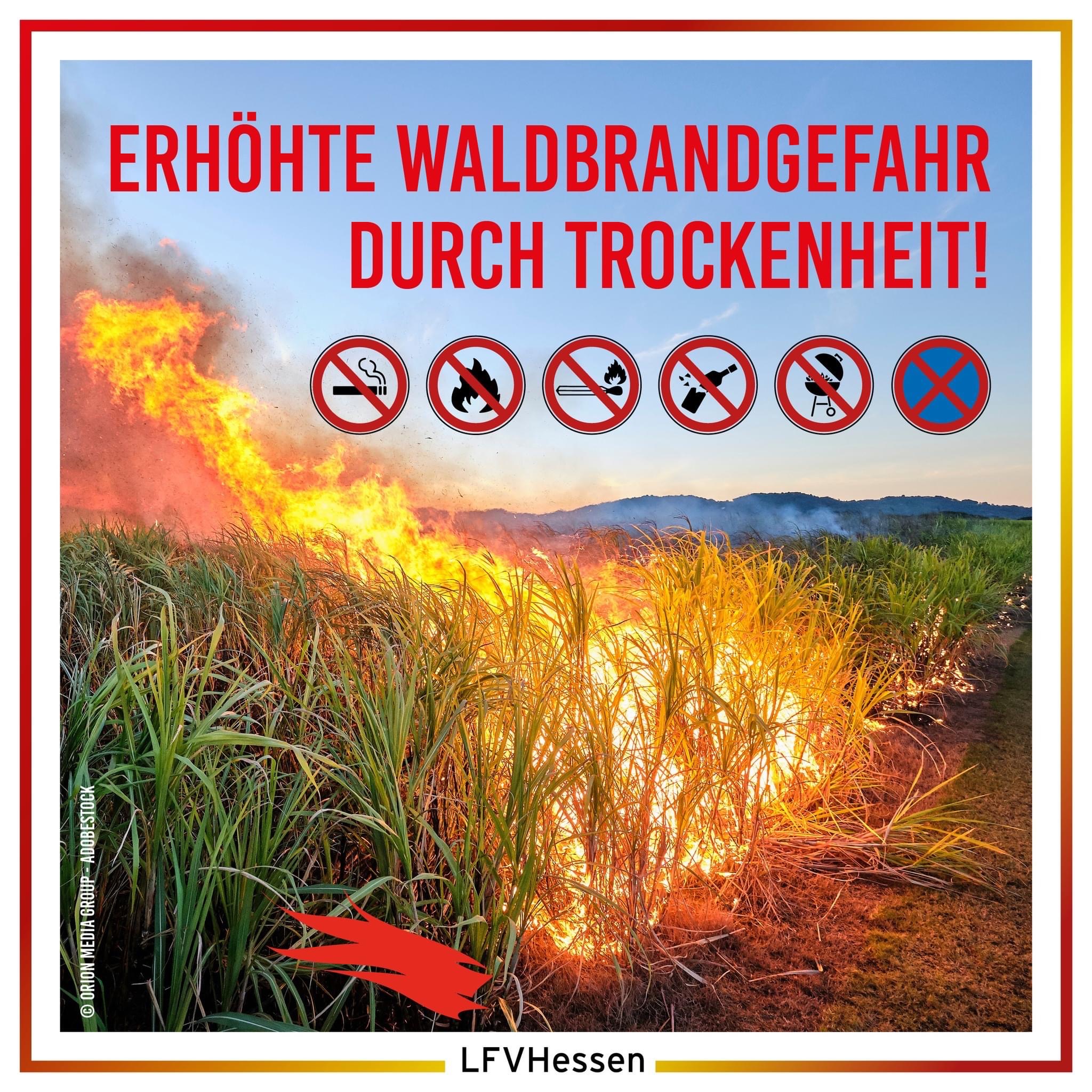 Brandeinsatz - F Wald 2 Brandeinsatz - F Wald 2