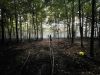Brandeinsatz - F Wald 2