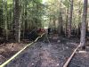 Brandeinsatz - F Wald 2